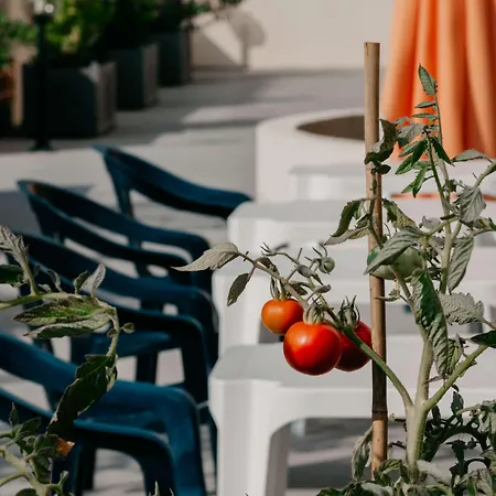 Otel Western Des Thermes - Les Bains Sete Balaruc-les-Bains