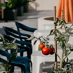 酒店 Western Des Thermes - Les Bains Sete 巴拉吕克莱班